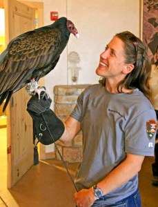 Janice Stroud-Settles with Edwina, a rescued turkey vulture.
