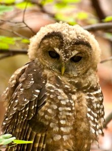 Photo provided by Janice Stroud-Settles.