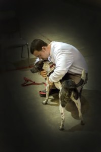 Hug Goodbye. Photo provided by Monty's Home