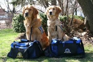 Luther and Ruthie, bags packed, ready to deploy.