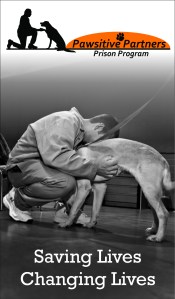 saving changing banner