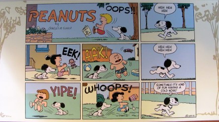 It was not until 1957 that Snoopy walked on his two hind feet like a human.