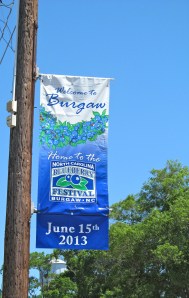 Blueberry Festival sign