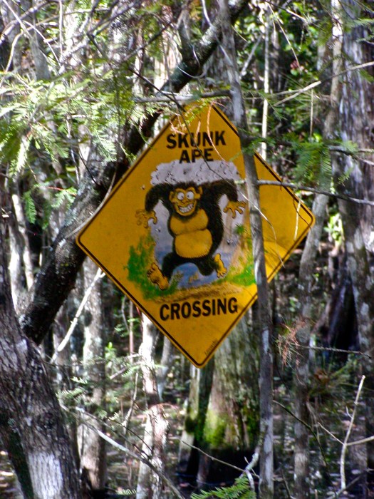 Skunk Ape Sign at BCG
