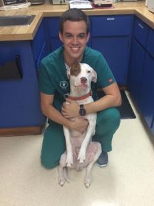 Dr. John Morton, of the Golden Gate Animal Clinic in Naples, Florida.