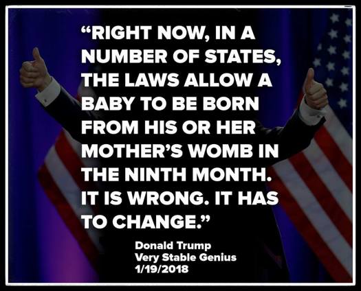 26903935_441118922969808_3940601116744742916_n