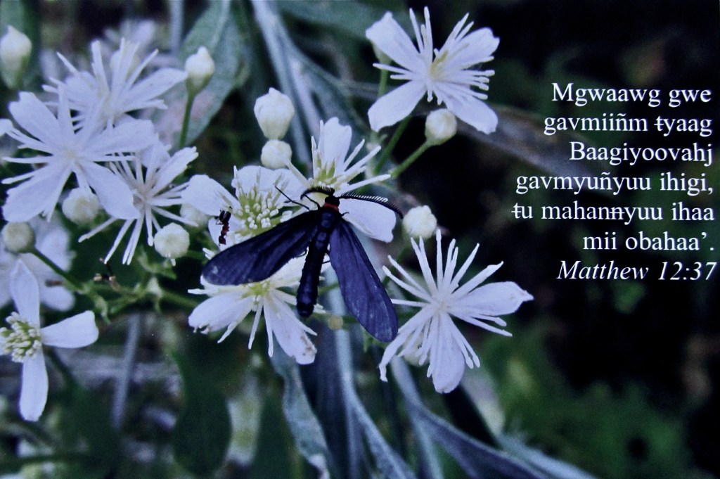 For by your words you will be acquitted, and by your words you will be condemned.